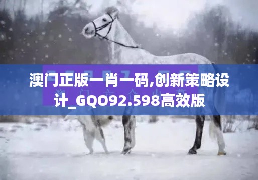 减震支架 第557页