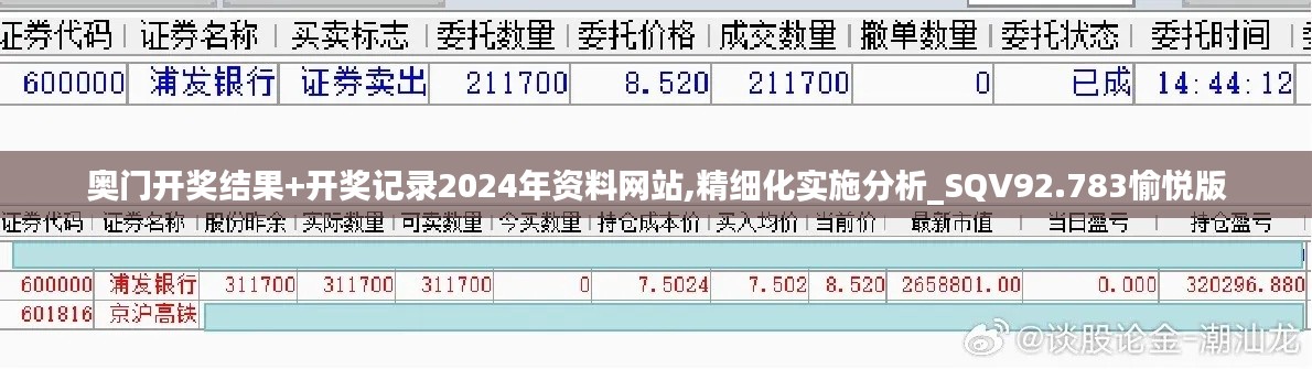 奥门开奖结果+开奖记录2024年资料网站,精细化实施分析_SQV92.783愉悦版