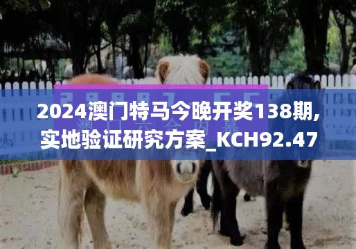 2024澳门特马今晚开奖138期,实地验证研究方案_KCH92.472潮流版