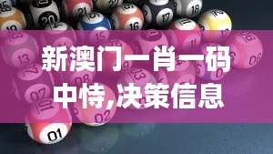 新澳门一肖一码中恃,决策信息解释_SPG92.803人工智能版