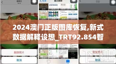 2024澳门正版图库恢复,新式数据解释设想_TRT92.854智慧共享版