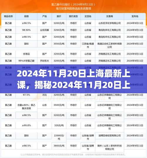 揭秘上海最新上课模式，探索教育变革前沿动态（2024年11月20日）