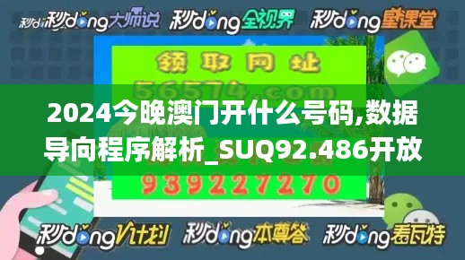 2024今晚澳门开什么号码,数据导向程序解析_SUQ92.486开放版