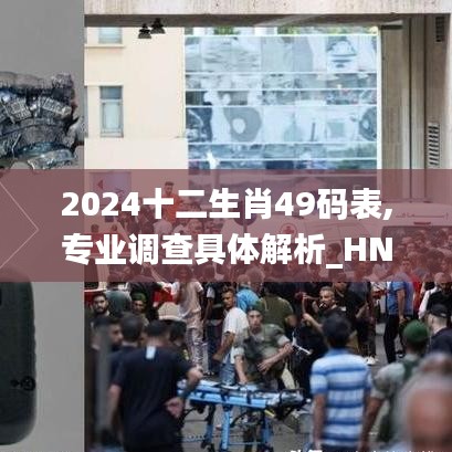 2024十二生肖49码表,专业调查具体解析_HNV92.924薄荷版