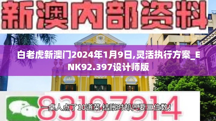 白老虎新澳门2024年1月9日,灵活执行方案_ENK92.397设计师版