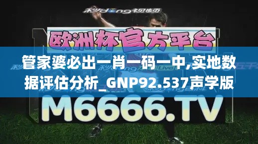 管家婆必出一肖一码一中,实地数据评估分析_GNP92.537声学版