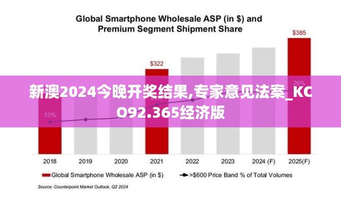 新澳2024今晚开奖结果,专家意见法案_KCO92.365经济版