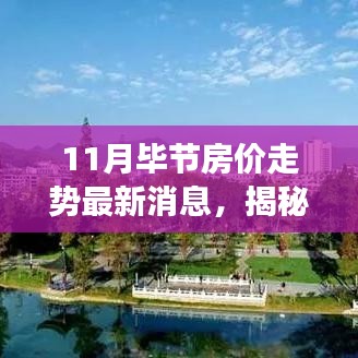 揭秘11月毕节房价走势，最新分析与观察报告