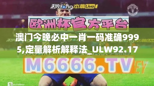 澳门今晚必中一肖一码准确9995,定量解析解释法_ULW92.176高效版