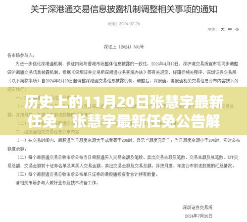 历史上的11月20日，张慧宇最新任免及其解读与操作指南