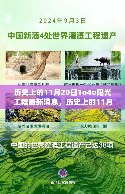 揭秘历史上的阳光工程进展，最新消息与进展揭秘（11月20日）