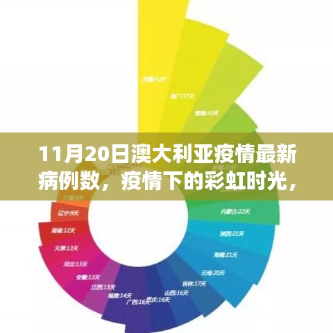 11月20日澳大利亚疫情最新病例数，疫情下的彩虹时光，澳大利亚11月20日的日常小故事