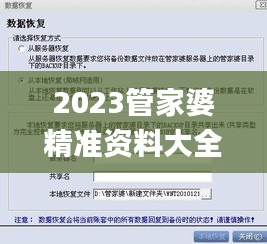 2023管家婆精准资料大全免费,全面实施分析数据_无限版ZLZ2.28