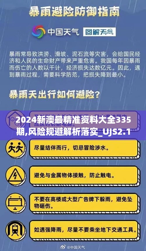 2024新澳最精准资料大全335期,风险规避解析落实_UJS2.10