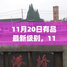 解读新升级背后的深层意义与影响，11月20日有品最新级别发布重磅来袭