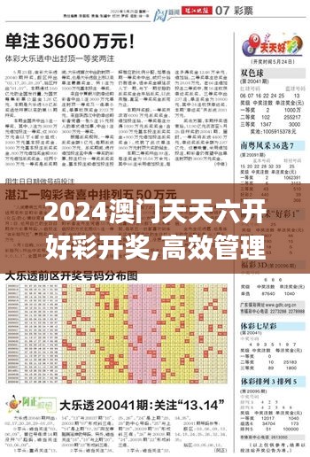 2024澳门天天六开好彩开奖,高效管理优化策略_数字处理版YAF5.45