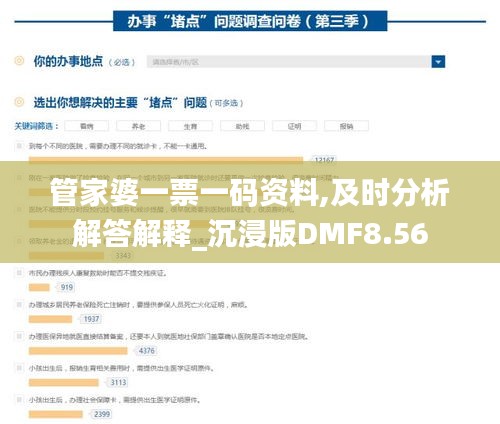 管家婆一票一码资料,及时分析解答解释_沉浸版DMF8.56