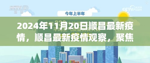 2024年11月20日顺昌疫情最新动态与观点博弈