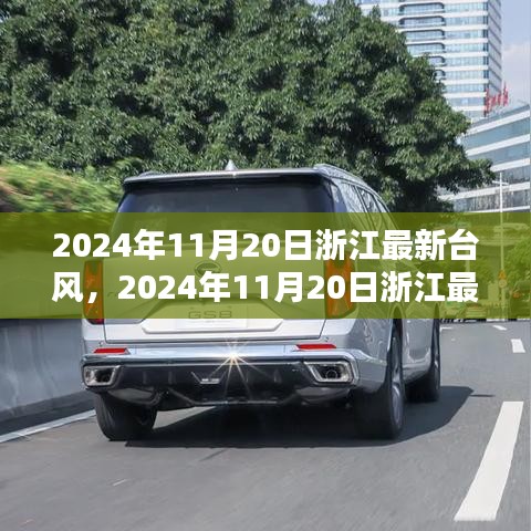 浙江台风最新动态，2024年11月20日台风分析及影响报告