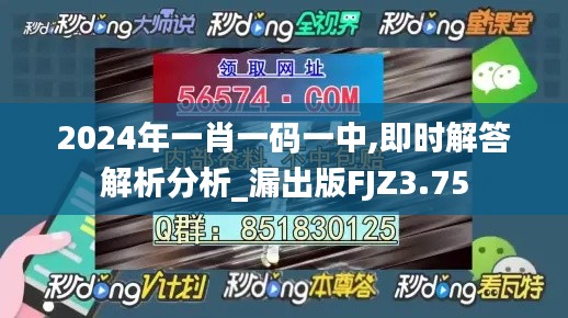 2024年一肖一码一中,即时解答解析分析_漏出版FJZ3.75