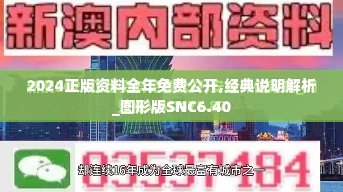 2024正版资料全年免费公开,经典说明解析_图形版SNC6.40