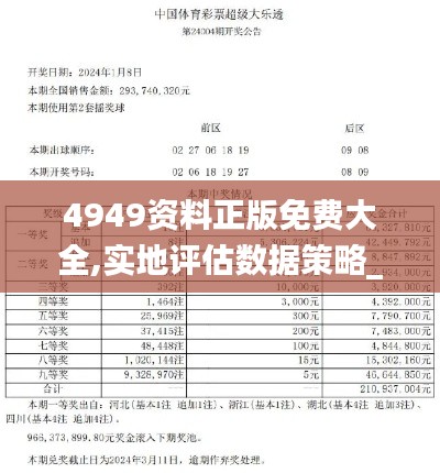 4949资料正版免费大全,实地评估数据策略_测试版SEF2.13