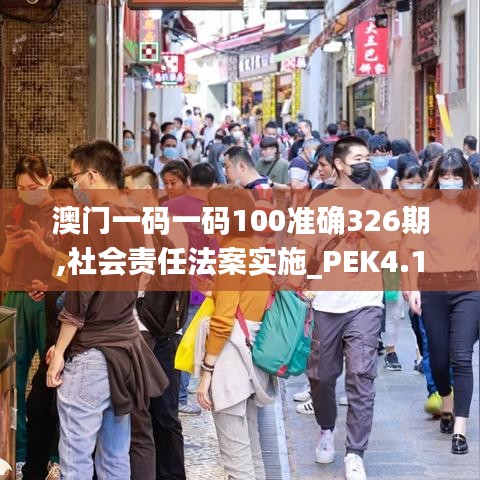 减震支架 第527页