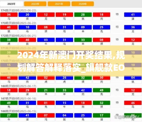 2024年新澳门开奖结果,规划解答解释落实_旗舰款EOQ9.80