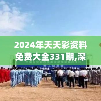 2024年天天彩资料免费大全331期,深层计划数据实施_MGR1.74