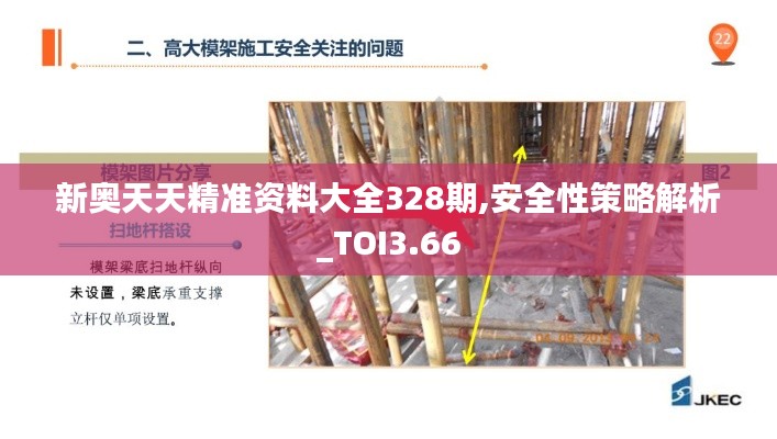 新奥天天精准资料大全328期,安全性策略解析_TOI3.66