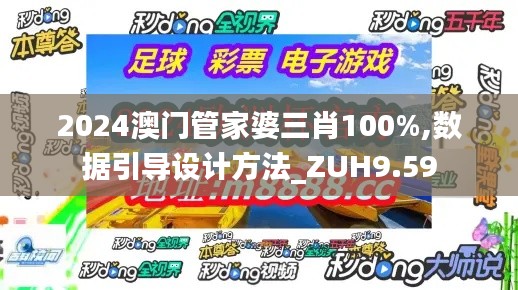 2024澳门管家婆三肖100%,数据引导设计方法_ZUH9.59