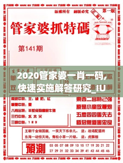 2020管家婆一肖一码,快速实施解答研究_IUO19.54