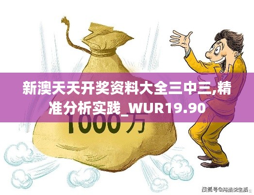 新澳天天开奖资料大全三中三,精准分析实践_WUR19.90