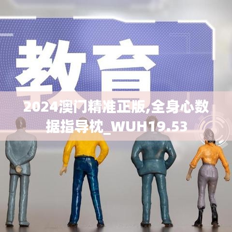 2024澳门精准正版,全身心数据指导枕_WUH19.53