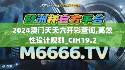 2024澳门天天六开彩查询,高效性设计规划_CIH19.2