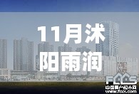 11月沭阳雨润广场最新动态概览