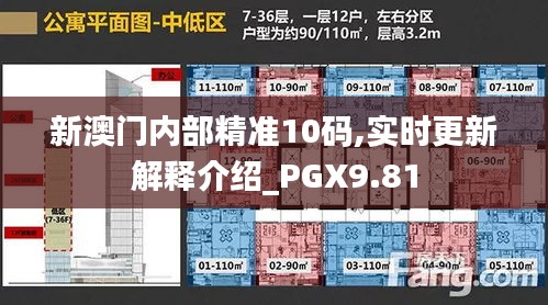 新澳门内部精准10码,实时更新解释介绍_PGX9.81