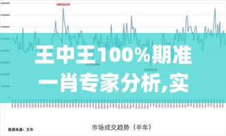 王中王100%期准一肖专家分析,实时数据分析_HHB9.23