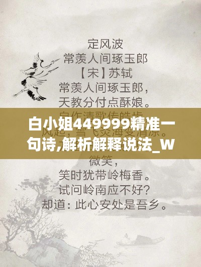 白小姐449999精准一句诗,解析解释说法_WIN9.41