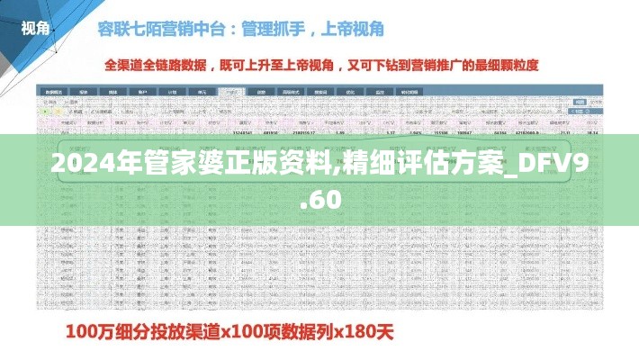 2024年管家婆正版资料,精细评估方案_DFV9.60