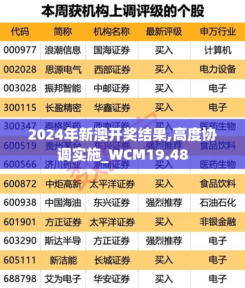 2024年新澳开奖结果,高度协调实施_WCM19.48