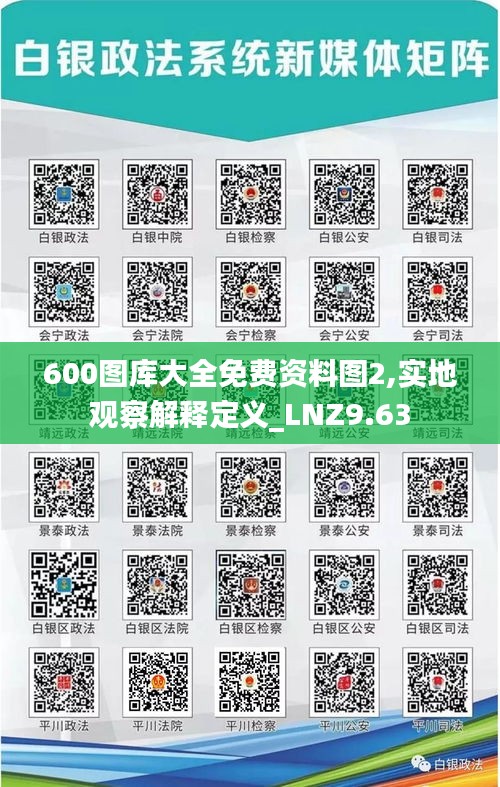 600图库大全免费资料图2,实地观察解释定义_LNZ9.63