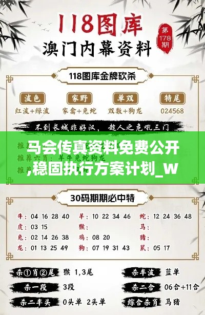 马会传真资料免费公开,稳固执行方案计划_WCH9.33