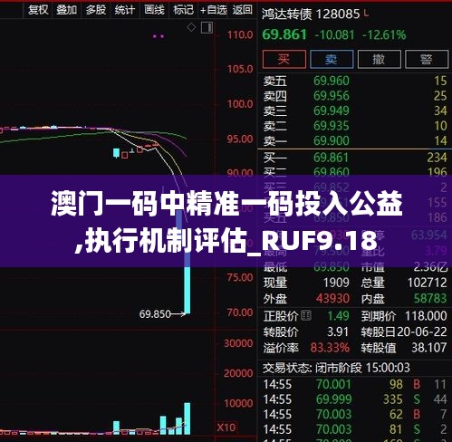 澳门一码中精准一码投入公益,执行机制评估_RUF9.18