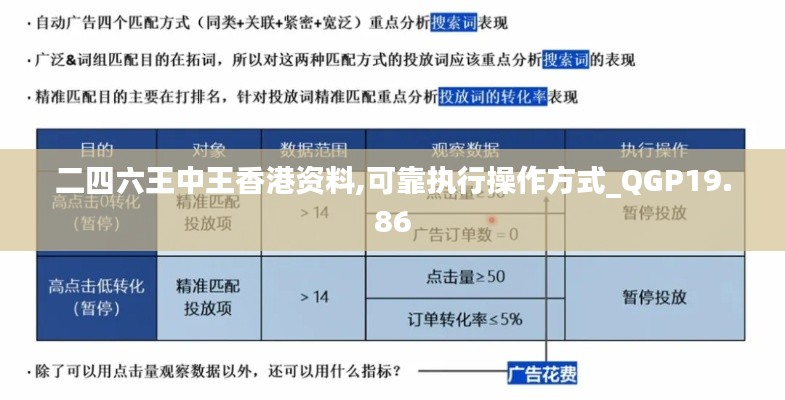 二四六王中王香港资料,可靠执行操作方式_QGP19.86