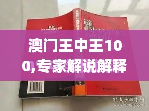 澳门王中王100,专家解说解释定义_NPC9.92