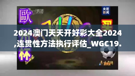 2024澳门天天开好彩大全2024,连贯性方法执行评估_WGC19.12