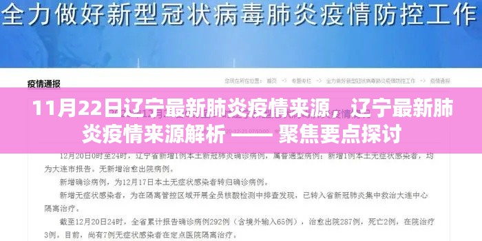 辽宁最新肺炎疫情来源解析与探讨，聚焦要点深度剖析疫情源头