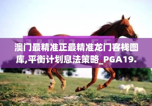 澳门最精准正最精准龙门客栈图库,平衡计划息法策略_PGA19.40