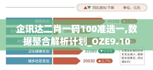 企讯达二肖一码100准选一,数据整合解析计划_OZE9.10